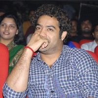 Jr NTR at Oosaravelli Audio Launch Gallery | Picture 77422